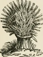 An illustration from Banbury chap books and nursery toy book literature [of the XVIII and early XIX centuries] (1890)