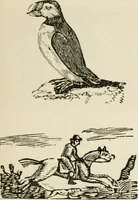 Picture 222 of 397 from Banbury chap books and nursery toy book literature [of the XVIII and early XIX centuries] (1890), leaf 78