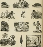 An illustration from Banbury chap books and nursery toy book literature [of the XVIII and early XIX centuries] (1890)