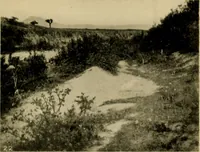 An illustration from The ban of the Bori; demons and demon-dancing in West and North Africa (1914)