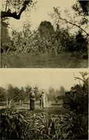An illustration from The ban of the Bori; demons and demon-dancing in West and North Africa (1914)