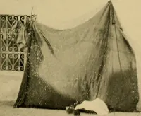 Picture 39 of 63 from The ban of the Bori; demons and demon-dancing in West and North Africa (1914), leaf 324