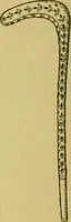 An illustration from The ban of the Bori; demons and demon-dancing in West and North Africa (1914)