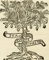An illustration from Baptistae Gvarini ivn. oratio in fvnere invictiss. Imperat. Maximiliani II. Caes. Avg (1577)
