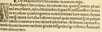 An illustration from Baptiste Fulgosi de dictis factisq[ue] memorabilibus collectanea (1518)