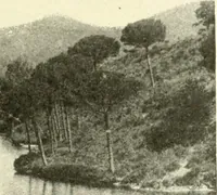 Picture 78 of 153 from Barcelone et les grands sanctuaires catalans (1913), leaf 82