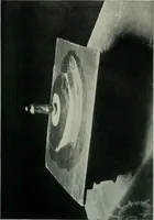 An illustration from The bargain book (1911)