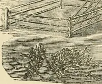 An illustration from Barn plans and outbuildings (1914)