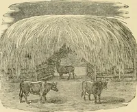 Picture 91 of 310 from Barn plans and outbuildings (1914), leaf 141