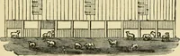 Picture 106 of 310 from Barn plans and outbuildings (1914), leaf 158