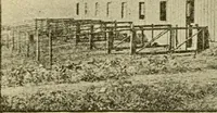 Picture 118 of 310 from Barn plans and outbuildings (1914), leaf 174