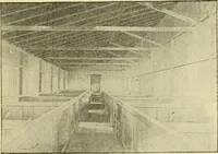 Picture 119 of 310 from Barn plans and outbuildings (1914), leaf 174