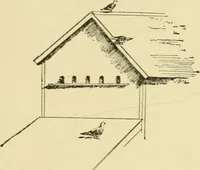 An illustration from Barn plans and outbuildings (1914)