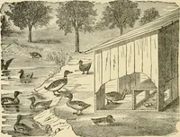 An illustration from Barn plans and outbuildings (1914)