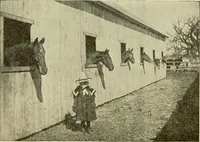 Picture 178 of 310 from Barn plans and outbuildings (1914), leaf 242