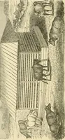 Picture 188 of 310 from Barn plans and outbuildings (1914), leaf 255