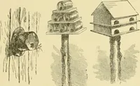 Picture 253 of 310 from Barn plans and outbuildings (1914), leaf 334
