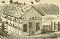 Picture 259 of 310 from Barn plans and outbuildings (1914), leaf 339