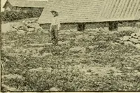 Picture 279 of 310 from Barn plans and outbuildings (1914), leaf 366