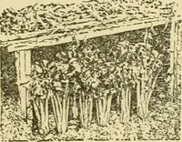 Picture 281 of 310 from Barn plans and outbuildings (1914), leaf 368