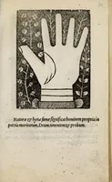 Picture 8 of 38 from Barptolomaei Coclitis bononiensis, naturalis philosophiae ac medicinae doctoris, Physiognomiae & chiromantiae compendium (1533), leaf 105