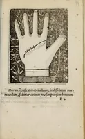 An illustration from Barptolomaei Coclitis bononiensis, naturalis philosophiae ac medicinae doctoris, Physiognomiae & chiromantiae compendium (1533)