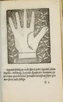 Picture 12 of 38 from Barptolomaei Coclitis bononiensis, naturalis philosophiae ac medicinae doctoris, Physiognomiae & chiromantiae compendium (1533), leaf 131