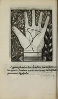 An illustration from Barptolomaei Coclitis bononiensis, naturalis philosophiae ac medicinae doctoris, Physiognomiae & chiromantiae compendium (1533)