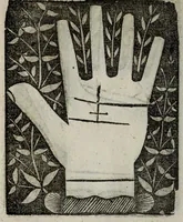 Picture 18 of 38 from Barptolomaei Coclitis bononiensis, naturalis philosophiae ac medicinae doctoris, Physiognomiae & chiromantiae compendium (1533), leaf 174