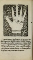 An illustration from Barptolomaei Coclitis bononiensis, naturalis philosophiae ac medicinae doctoris, Physiognomiae & chiromantiae compendium (1533)