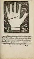 Picture 20 of 38 from Barptolomaei Coclitis bononiensis, naturalis philosophiae ac medicinae doctoris, Physiognomiae & chiromantiae compendium (1533), leaf 179