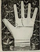 An illustration from Barptolomaei Coclitis bononiensis, naturalis philosophiae ac medicinae doctoris, Physiognomiae & chiromantiae compendium (1533)