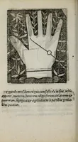 Picture 26 of 38 from Barptolomaei Coclitis bononiensis, naturalis philosophiae ac medicinae doctoris, Physiognomiae & chiromantiae compendium (1533), leaf 202
