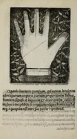 Picture 34 of 38 from Barptolomaei Coclitis bononiensis, naturalis philosophiae ac medicinae doctoris, Physiognomiae & chiromantiae compendium (1533), leaf 230