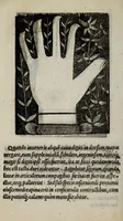 Picture 35 of 38 from Barptolomaei Coclitis bononiensis, naturalis philosophiae ac medicinae doctoris, Physiognomiae & chiromantiae compendium (1533), leaf 232