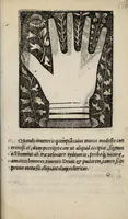 An illustration from Barptolomaei Coclitis bononiensis, naturalis philosophiae ac medicinae doctoris, Physiognomiae & chiromantiae compendium (1533)