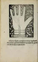 An illustration from Barptolomaei Coclitis bononiensis, naturalis philosophiae ac medicinae doctoris, Physiognomiae & chiromantiae compendium (1533)
