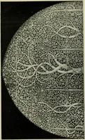 Picture 124 of 232 from The bases of design (1902), leaf 204