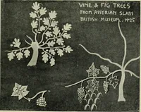 Picture 135 of 232 from The bases of design (1902), leaf 222