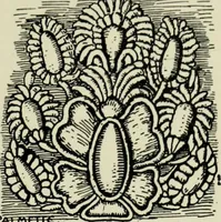Picture 143 of 232 from The bases of design (1902), leaf 232