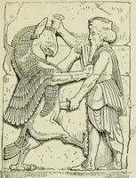 Picture 163 of 232 from The bases of design (1902), leaf 268