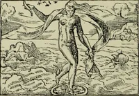 Picture 168 of 232 from The bases of design (1902), leaf 275
