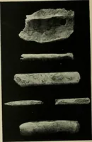 Picture 171 of 232 from The bases of design (1902), leaf 281