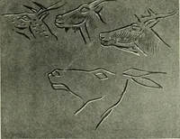 Picture 172 of 232 from The bases of design (1902), leaf 282