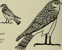 Picture 174 of 232 from The bases of design (1902), leaf 285