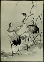 An illustration from The bases of design (1902)