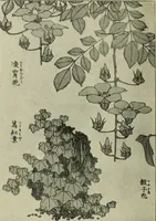 Picture 190 of 232 from The bases of design (1902), leaf 309