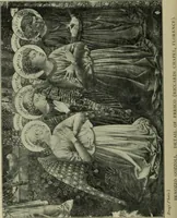Picture 207 of 232 from The bases of design (1902), leaf 341
