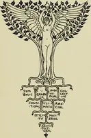 Picture 2 of 232 from The bases of design (1902), leaf 6