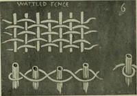 Picture 42 of 232 from The bases of design (1902), leaf 73